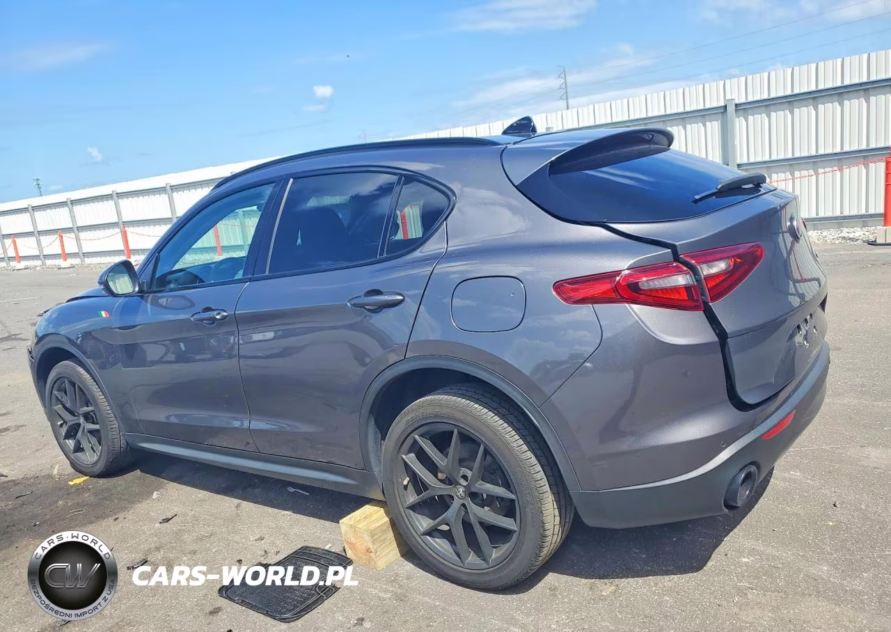 2020 Alfa Romeo Stelvio VIN:ZASPAJAN6L7C94535 - 2
