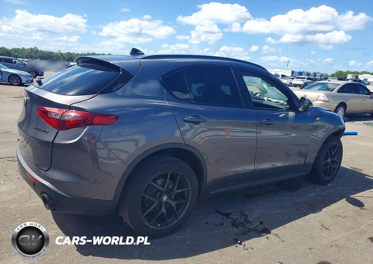 2020 Alfa Romeo Stelvio VIN:ZASPAJAN6L7C94535 - 3