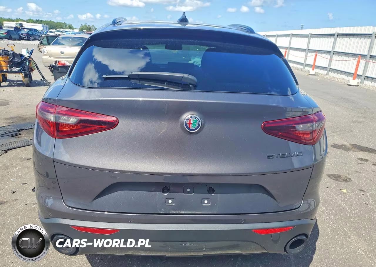 2020 Alfa Romeo Stelvio VIN:ZASPAJAN6L7C94535 - 6