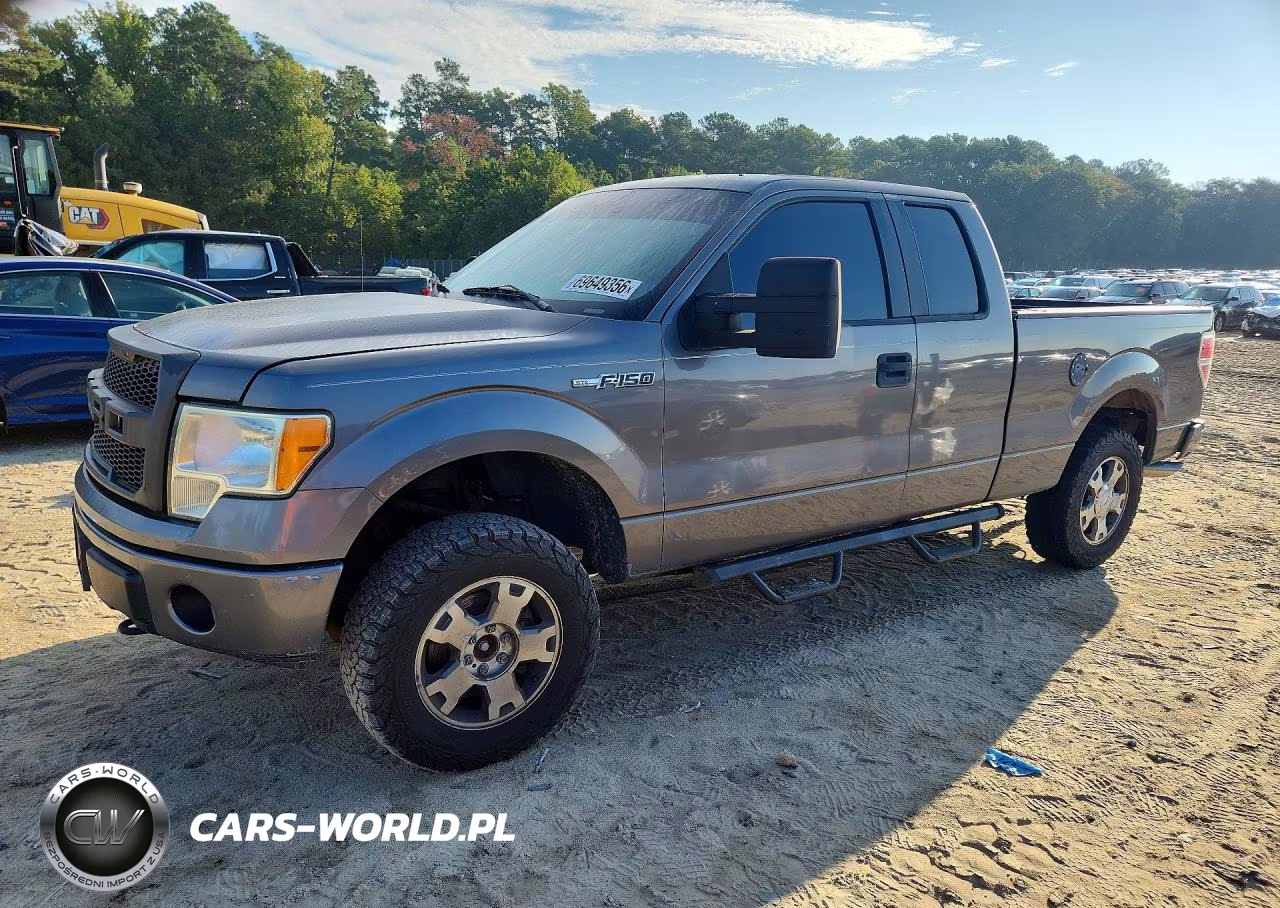 2010 Ford F-150 – zdjęcie 1 z 12