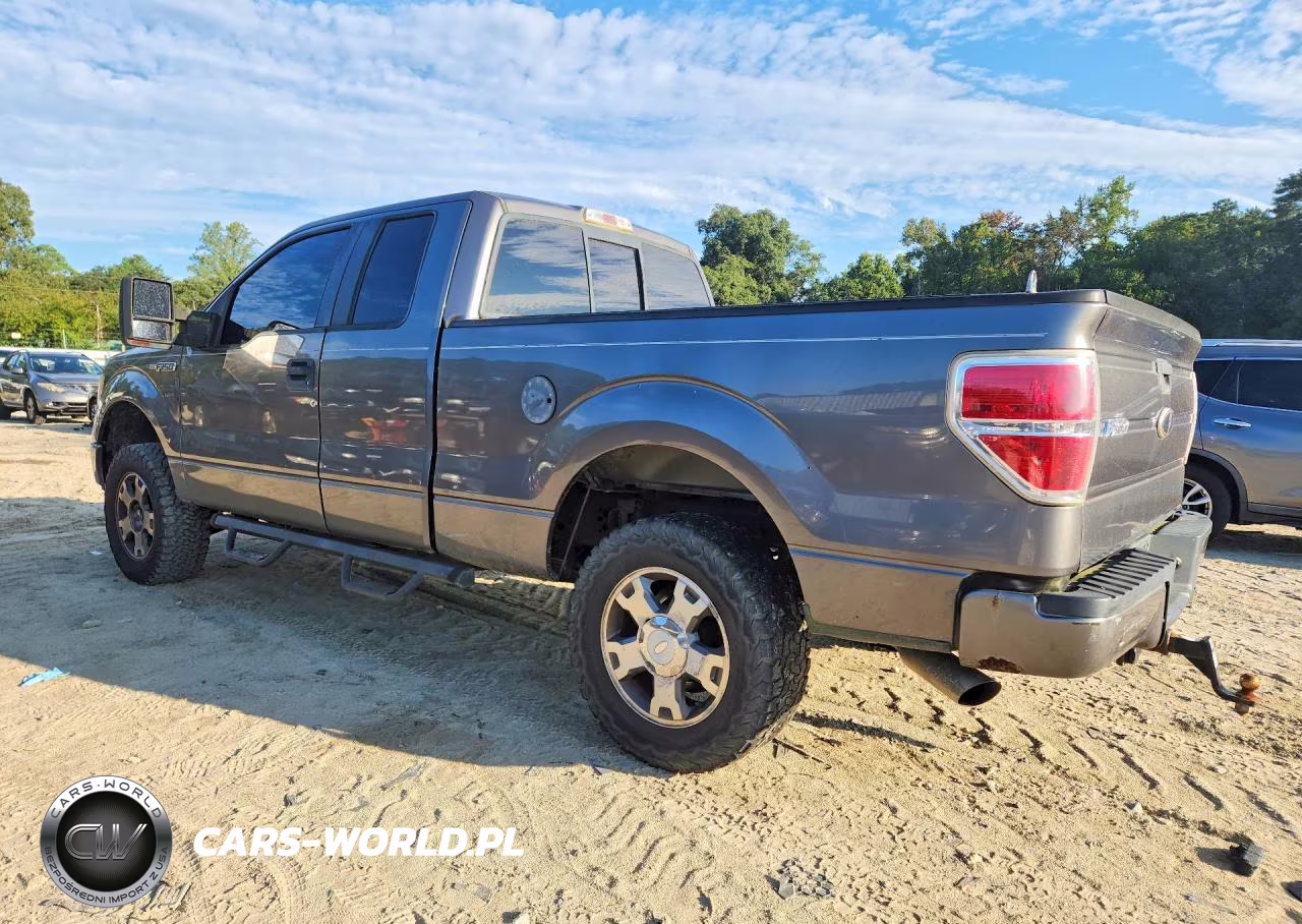 2010 Ford F-150 VIN:1FTEX1EW0AFD69945 - 2