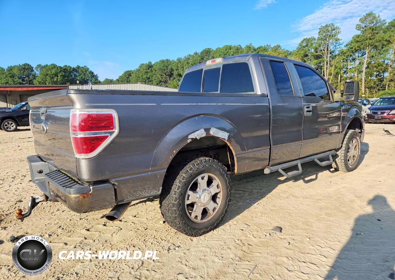 2010 Ford F-150 VIN:1FTEX1EW0AFD69945 - 3