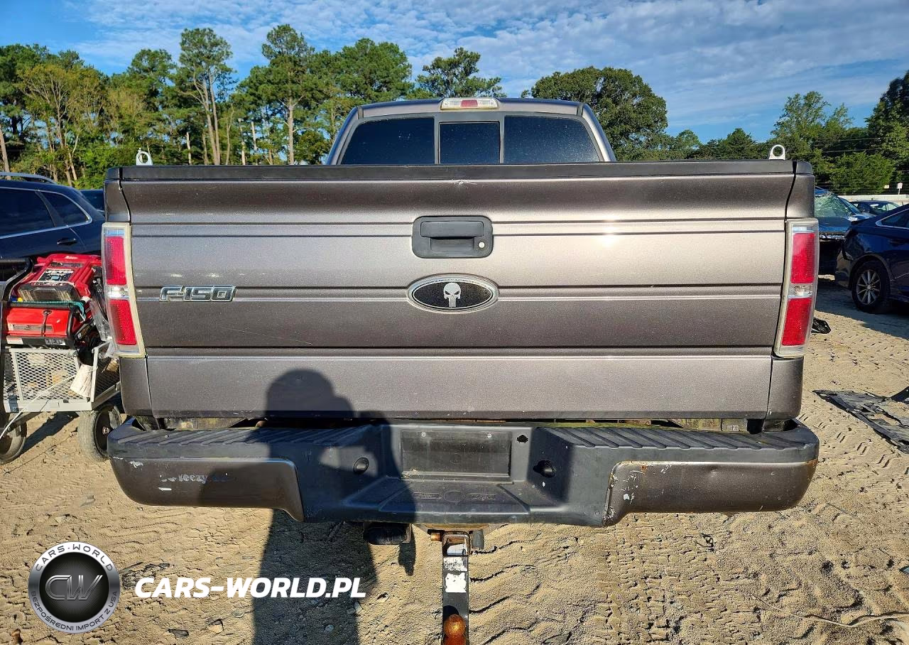 2010 Ford F-150 VIN:1FTEX1EW0AFD69945 - 6