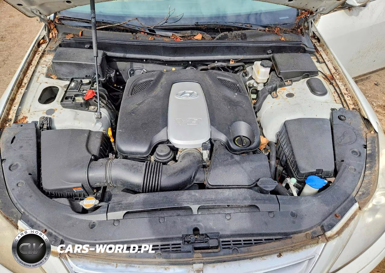 2010 Hyundai Genesis 4.6L
