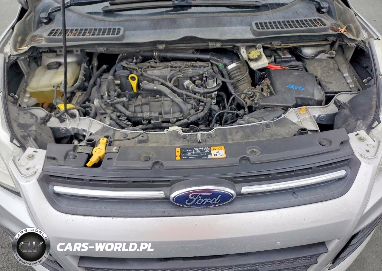 2014 Ford Escape Se VIN:1FMCU9GX2EUA13465 - 11