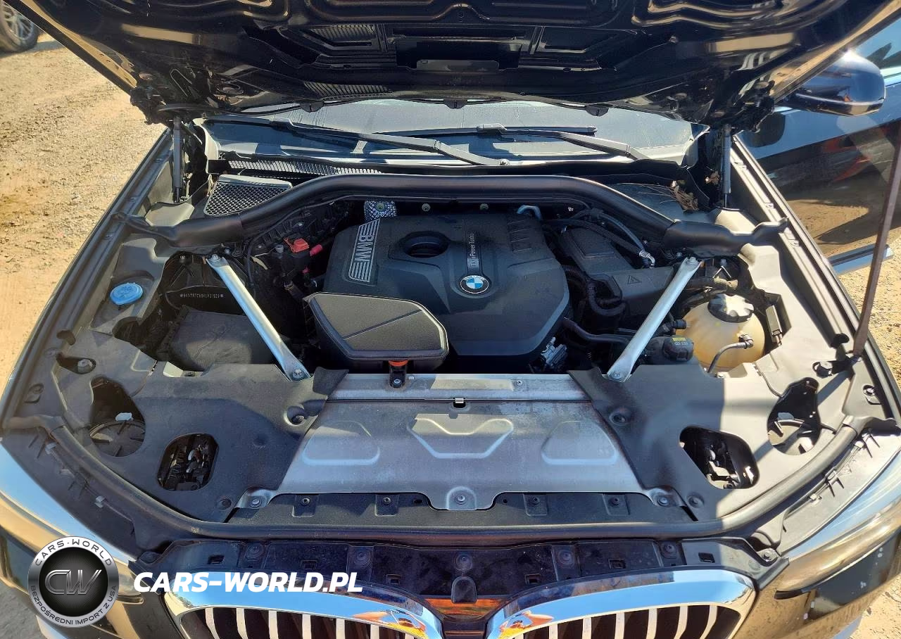 2019 BMW X3 Sdrive30I VIN:5UXTR7C59KLF31929 - 12