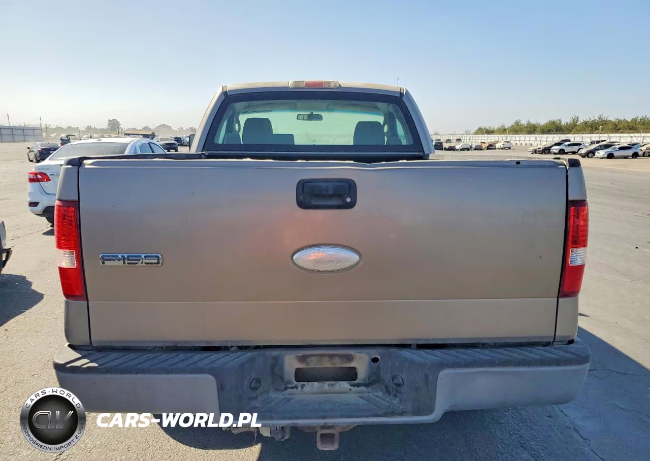 2006 Ford F150 VIN:1FTRF12W26NA24230 - 10