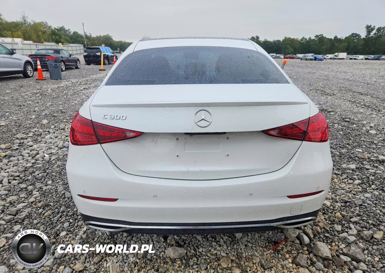 2023 Mercedes-Benz C 300 VIN:W1KAF4GB3PR091729 - 6