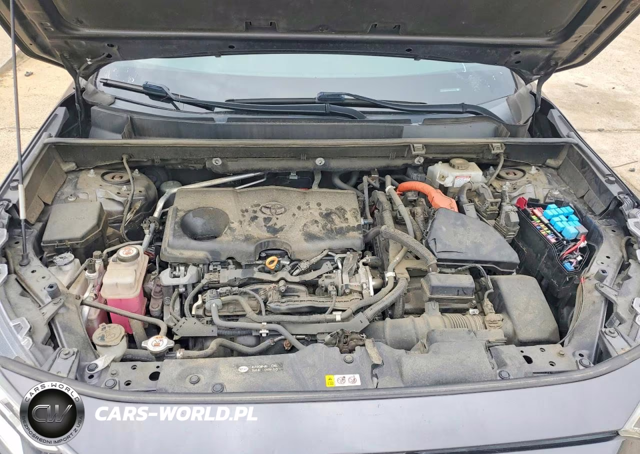2019 Toyota Rav4 Xse VIN:2T3EWRFV7KW010874 - 11