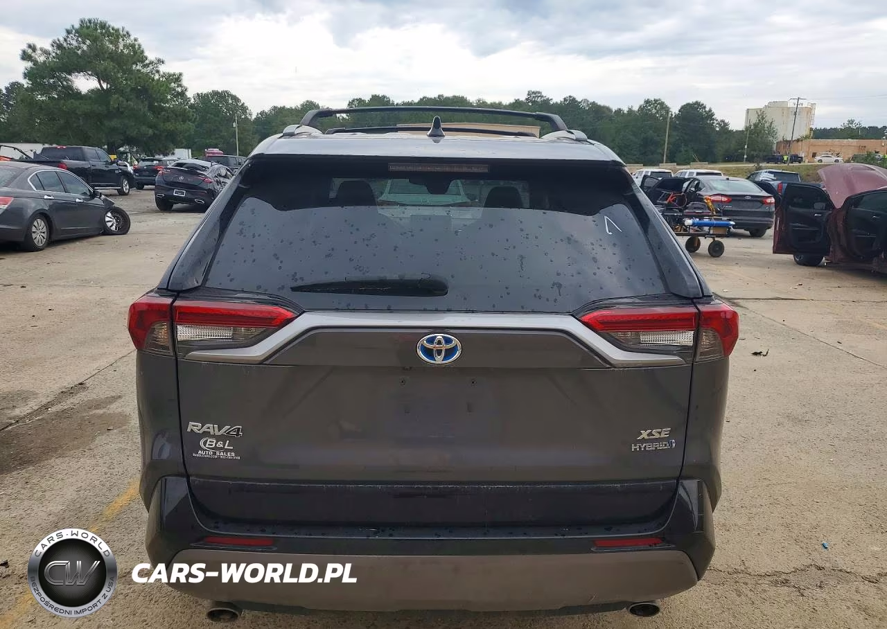 2019 Toyota Rav4 Xse VIN:2T3EWRFV7KW010874 - 6