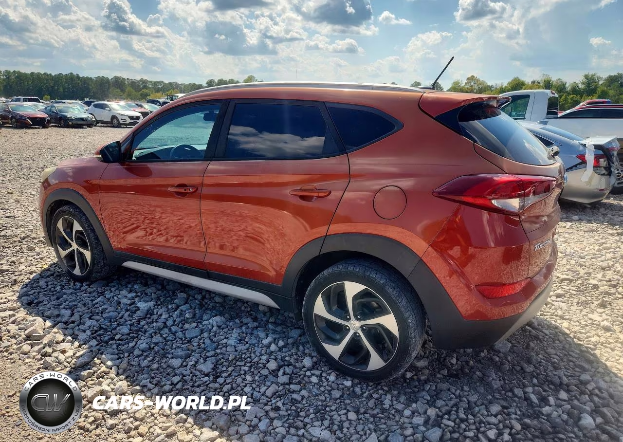 2017 Hyundai Tucson Sport VIN:KM8J33A22HU408139 - 2