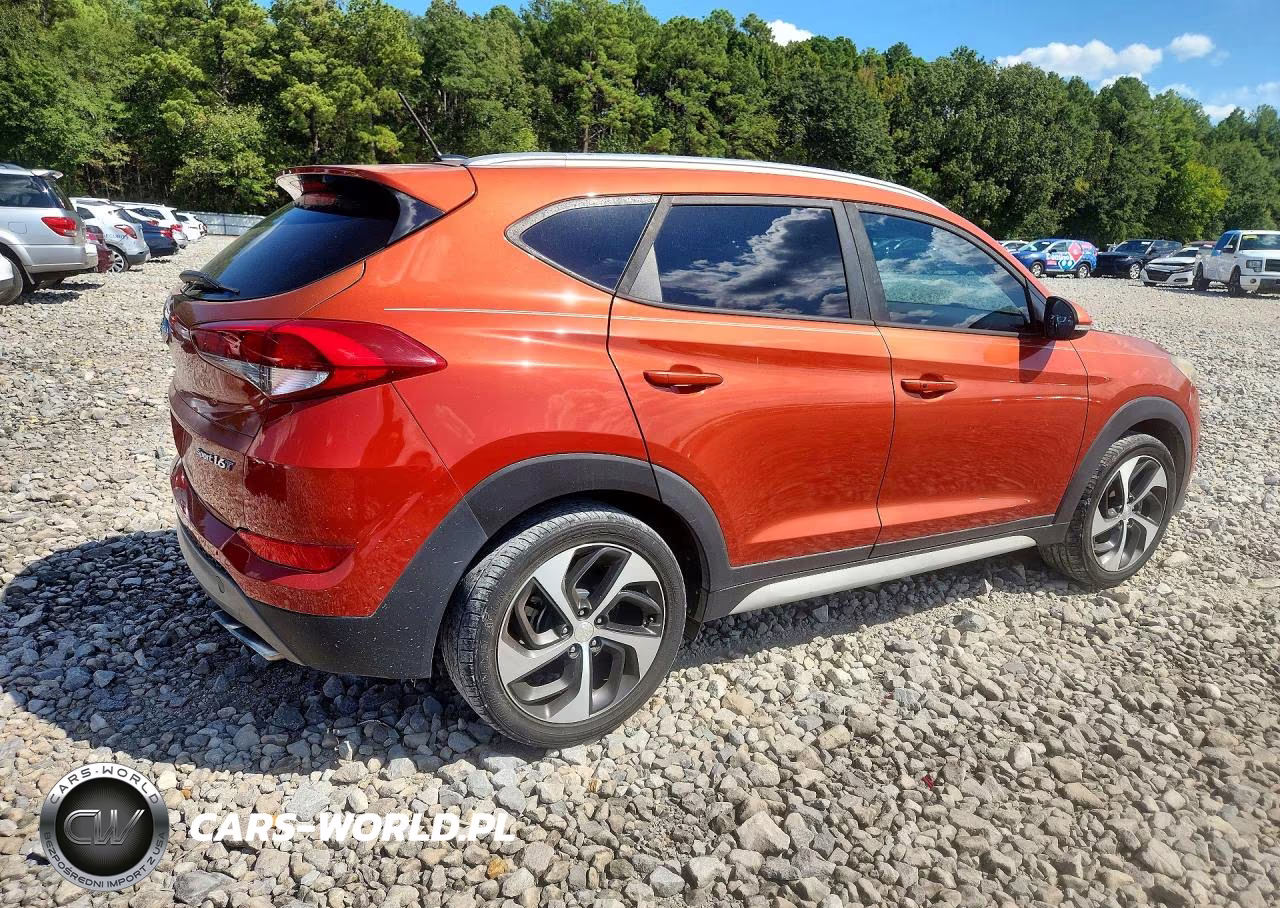 2017 Hyundai Tucson Sport VIN:KM8J33A22HU408139 - 3
