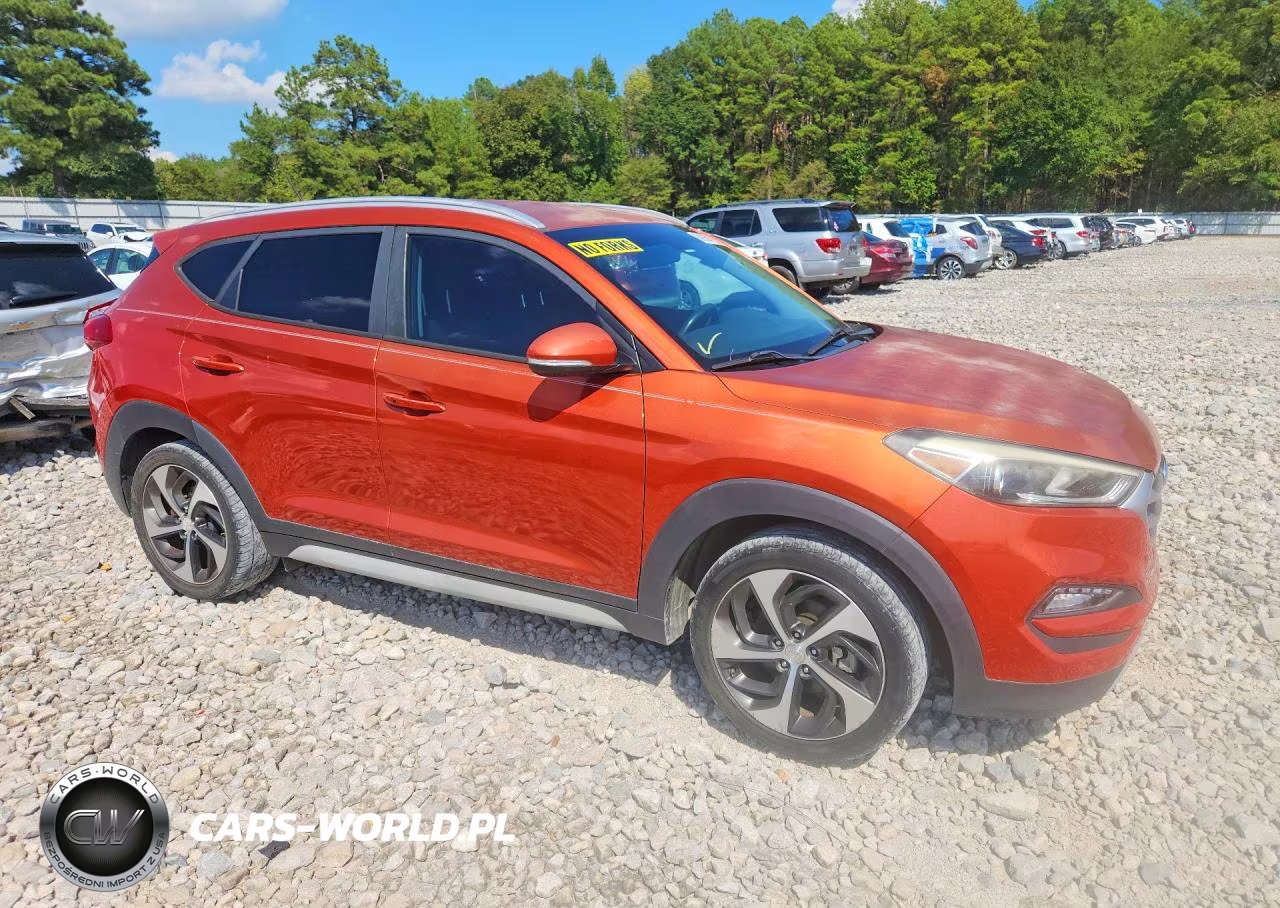 2017 Hyundai Tucson Sport VIN:KM8J33A22HU408139 - 4