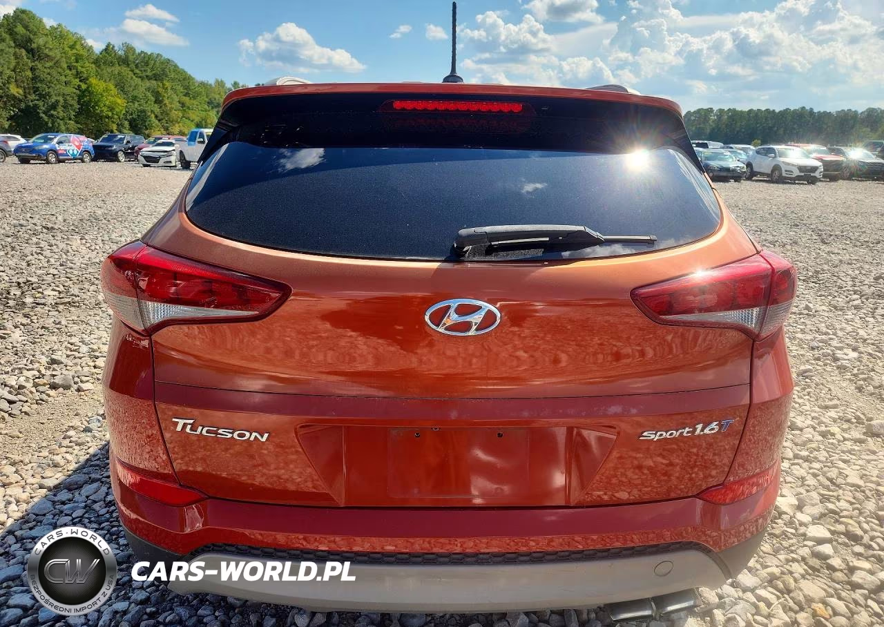 2017 Hyundai Tucson Sport VIN:KM8J33A22HU408139 - 6