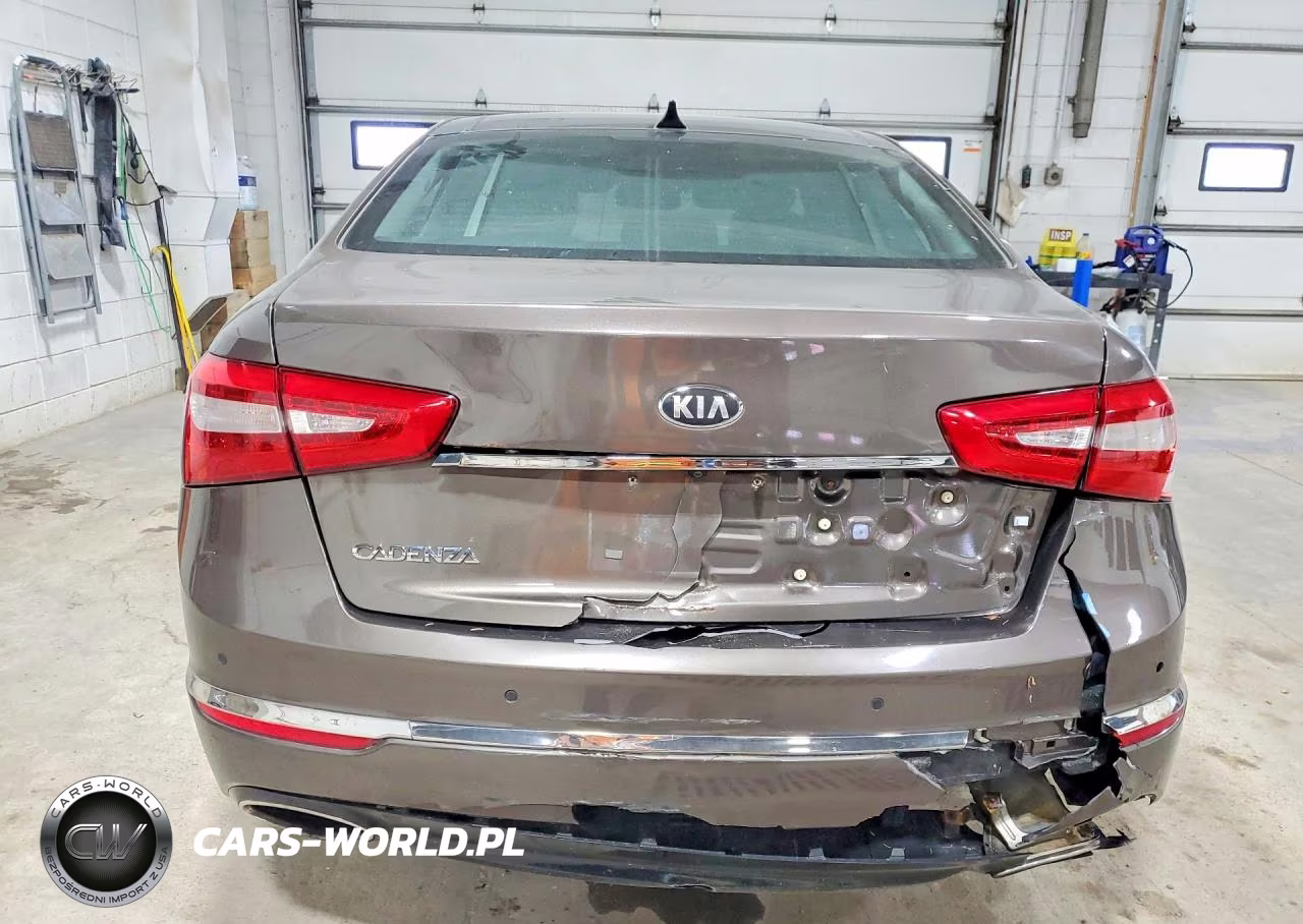 2014 Kia Cadenza Ex VIN:KNALN4D7XE5120912 - 6