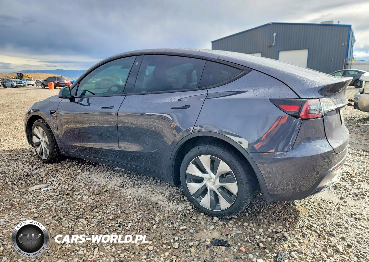 2023 Tesla Model Y VIN:7SAYGDEE2PF615416 - 2