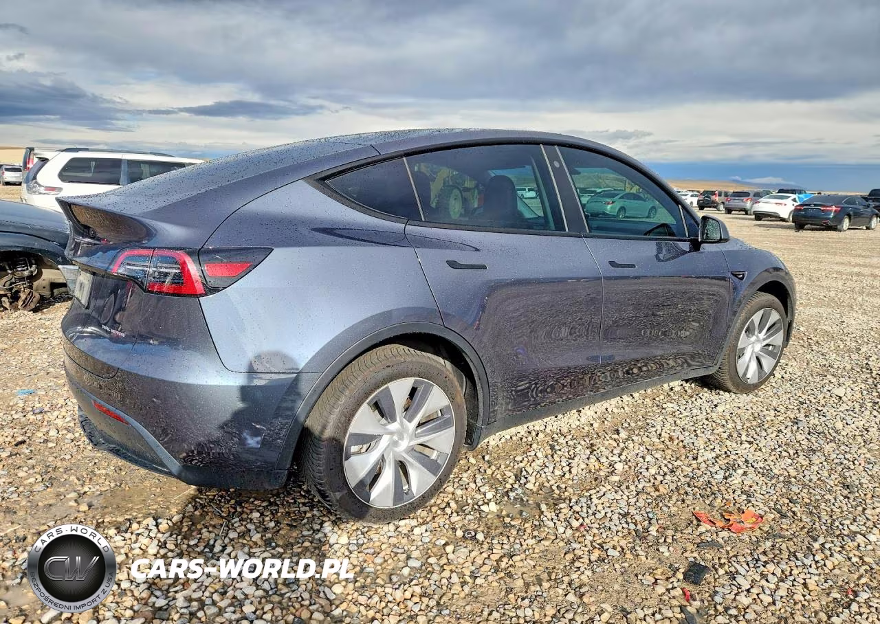 2023 Tesla Model Y VIN:7SAYGDEE2PF615416 - 3