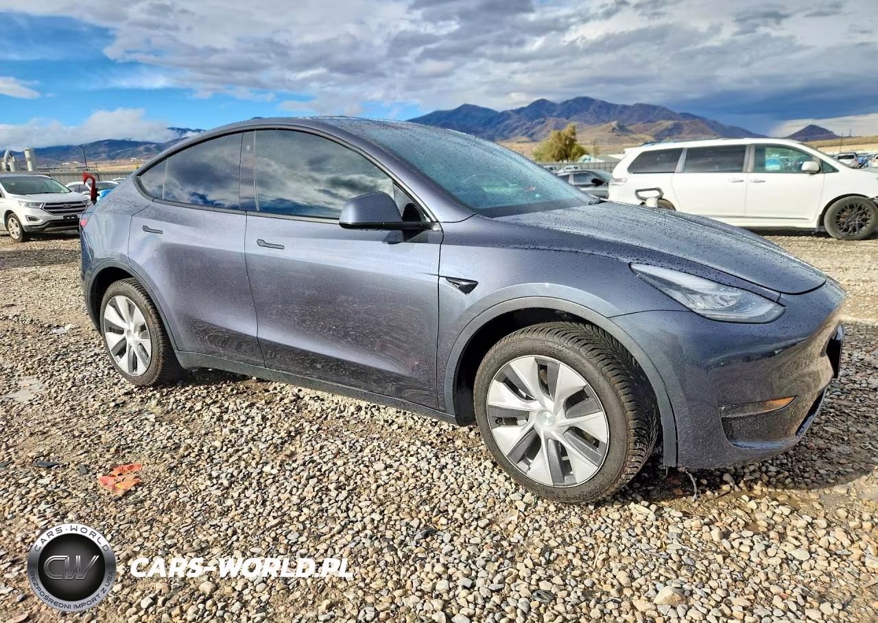 2023 Tesla Model Y VIN:7SAYGDEE2PF615416 - 4
