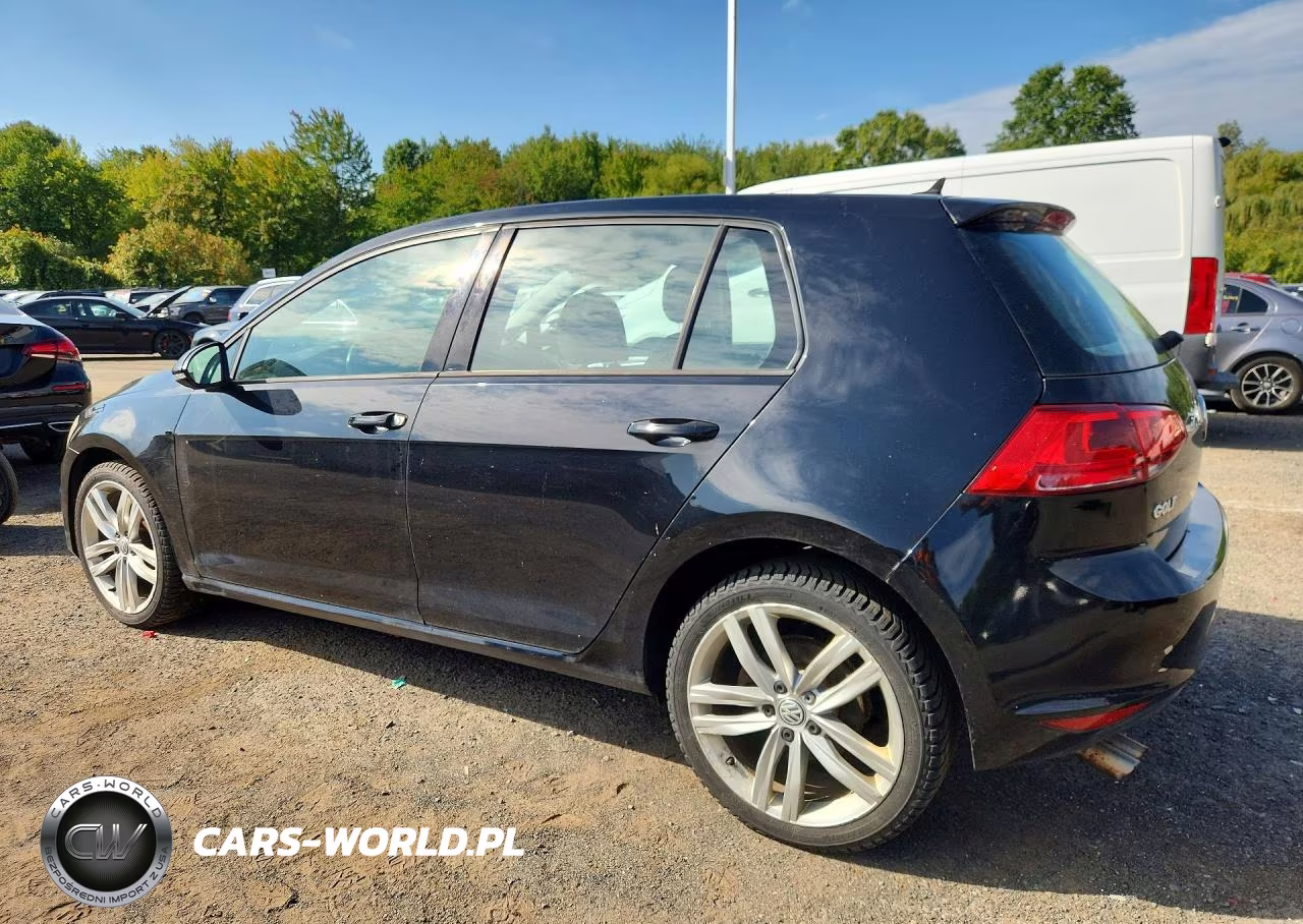 2015 Volkswagen Golf VIN:3VW217AU8FM015316 - 2