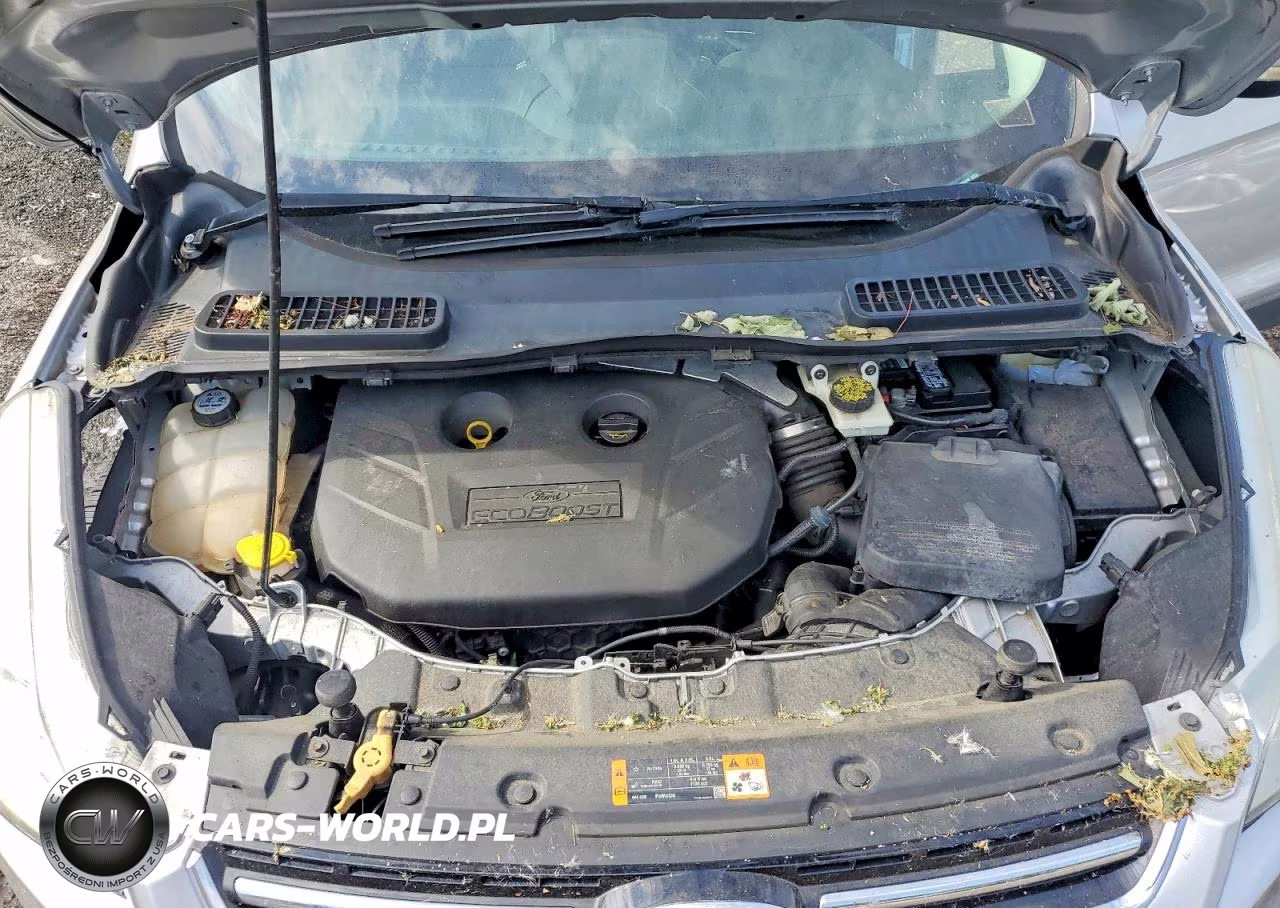 2013 Ford Escape Sel VIN:1FMCU0H90DUA06489 - 12