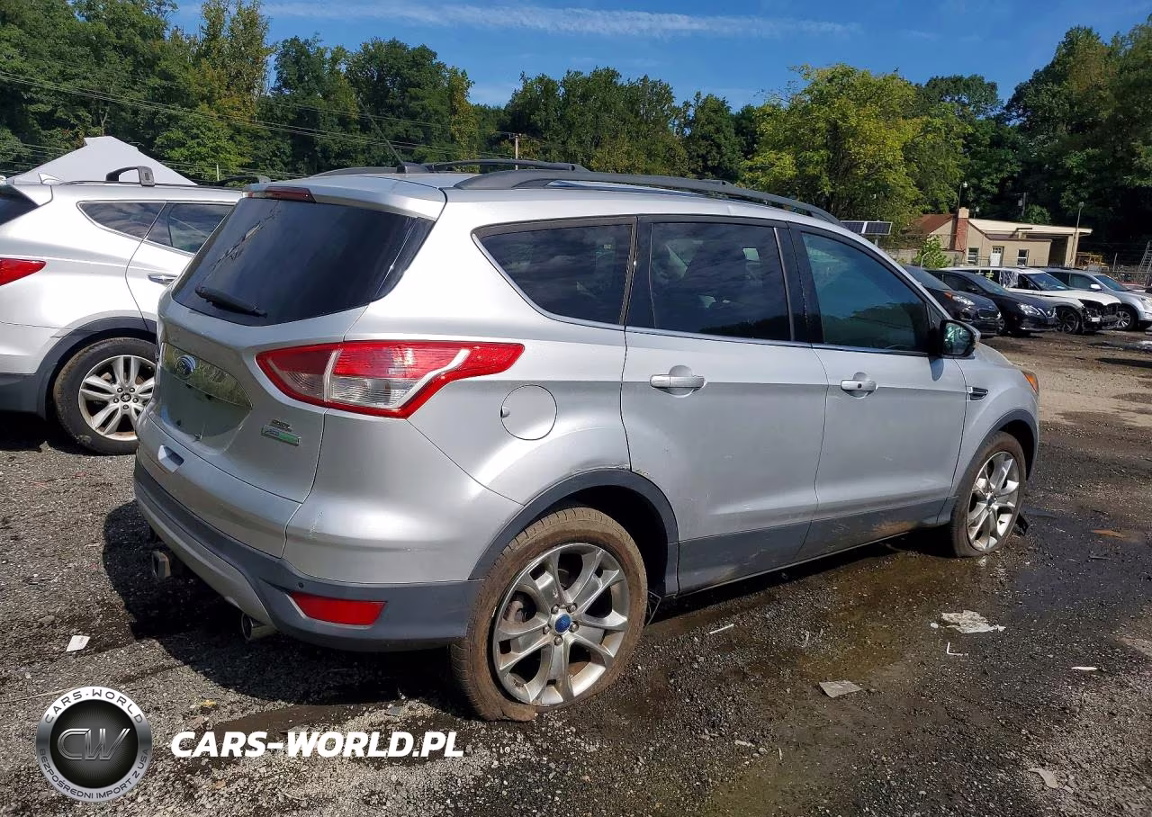 2013 Ford Escape Sel VIN:1FMCU0H90DUA06489 - 3