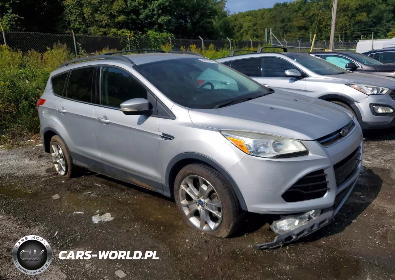 2013 Ford Escape Sel VIN:1FMCU0H90DUA06489 - 4