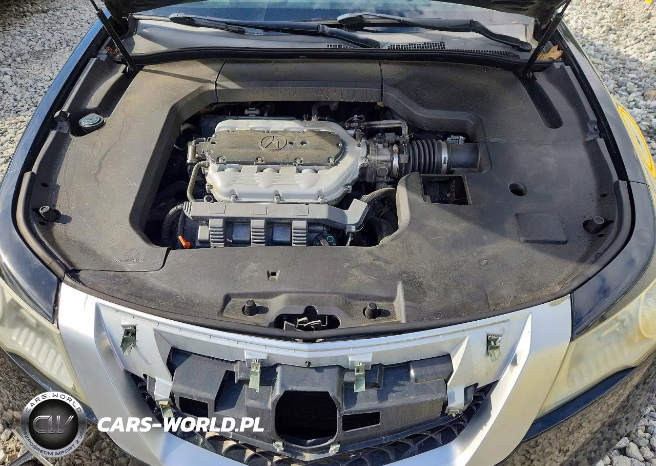 2009 Acura Tl VIN:19UUA86569A009827 - 11