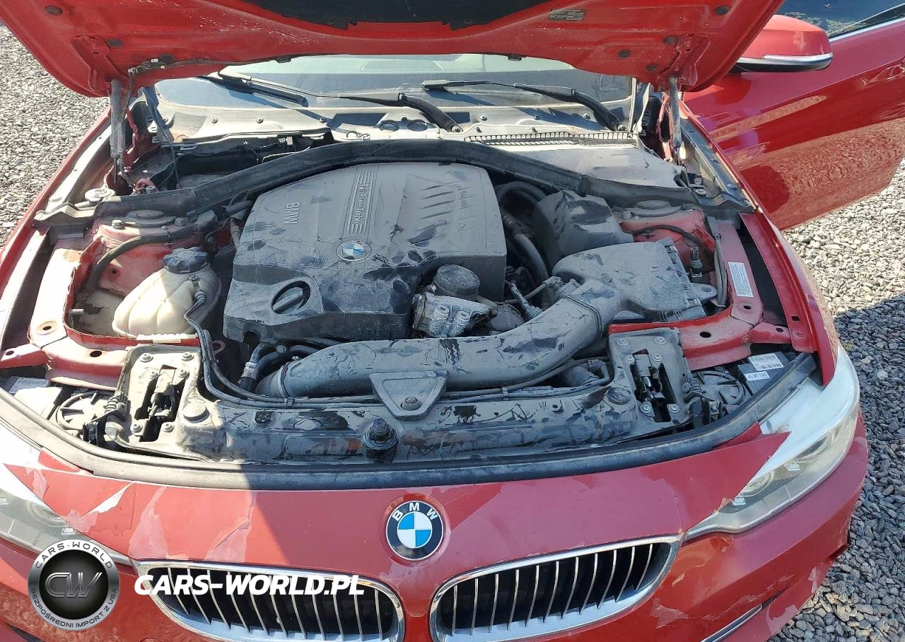 2014 BMW 435 Xi VIN:WBA3R5C55EK186991 - 11