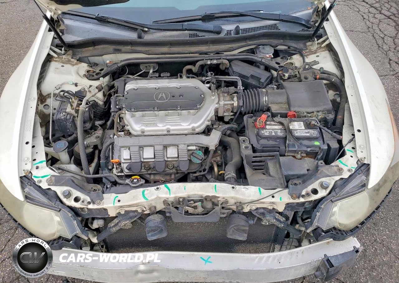 2010 Acura Tsx VIN:JH4CU4F43AC000866 - 11