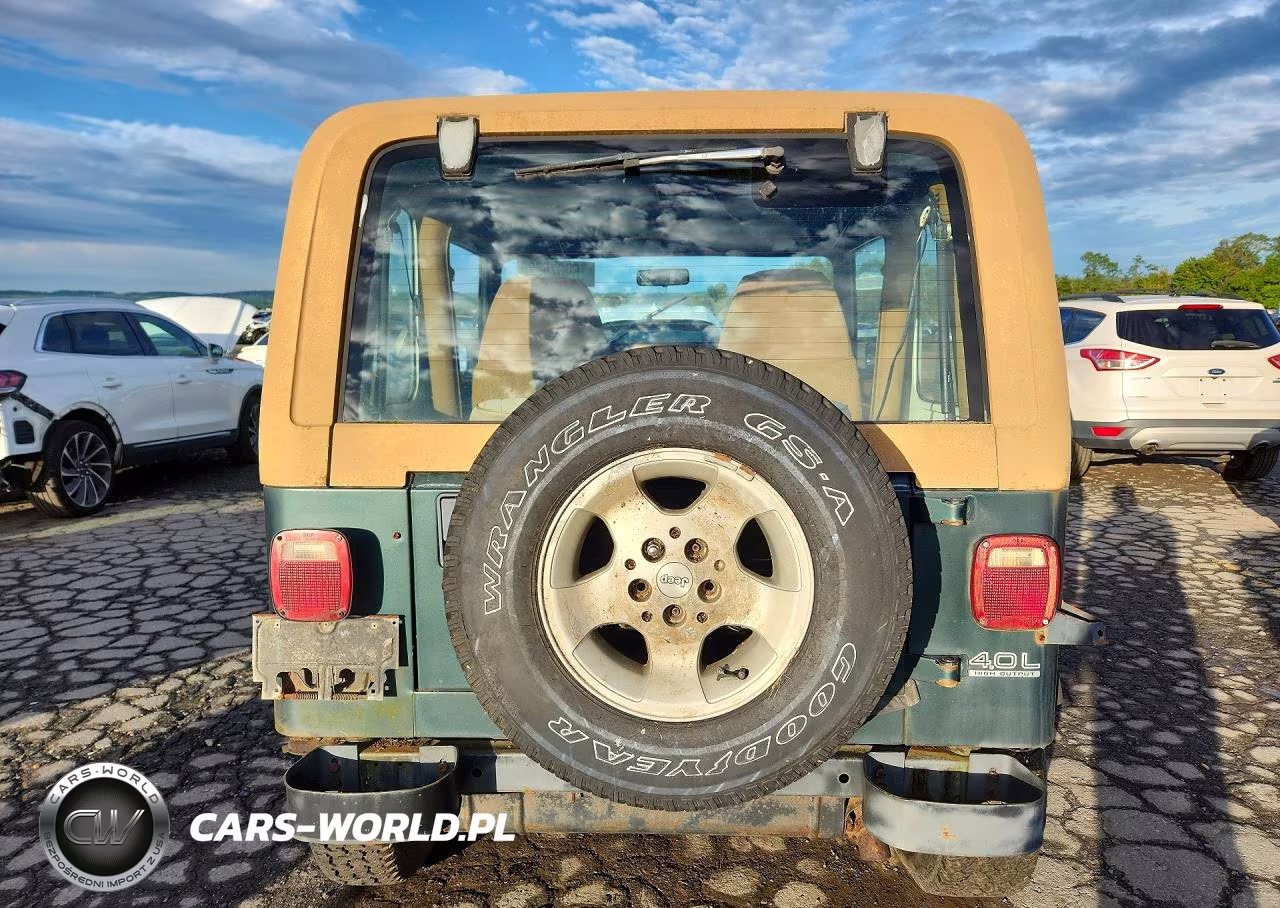 1993 Jeep Wrangler - Yj VIN:1J4FY29S9PP247533 - 6