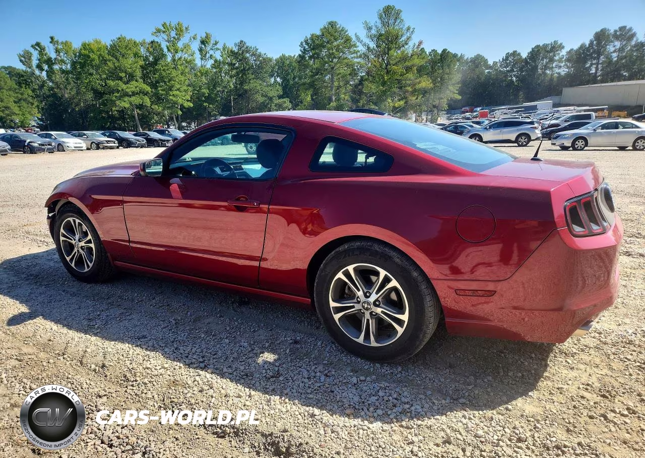 2014 Ford Mustang VIN:1ZVBP8AM4E5308087 - 2