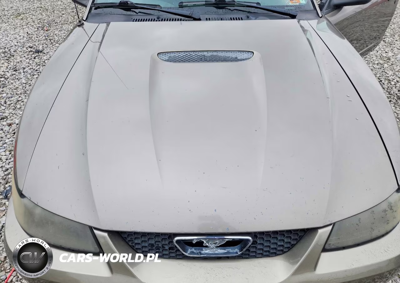 2001 Ford Mustang VIN:1FAFP44461F263804 - 11
