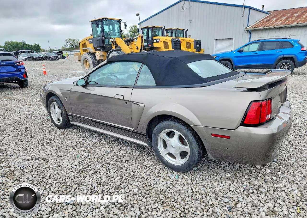 2001 Ford Mustang VIN:1FAFP44461F263804 - 2