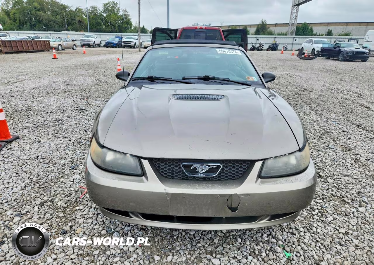 2001 Ford Mustang VIN:1FAFP44461F263804 - 5