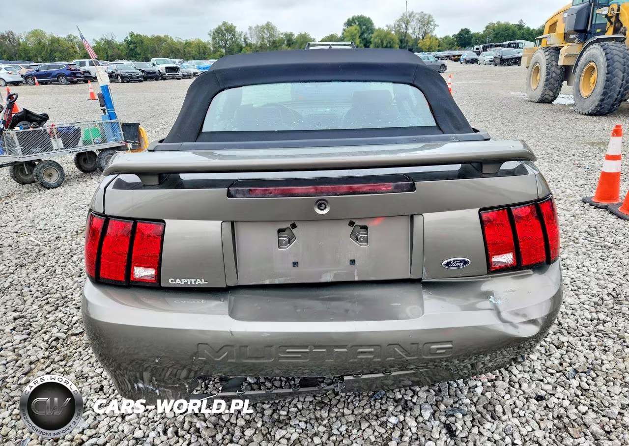 2001 Ford Mustang VIN:1FAFP44461F263804 - 6