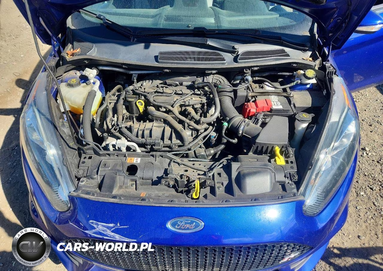 2015 Ford Fiesta St VIN:3FADP4GX2FM100412 - 11