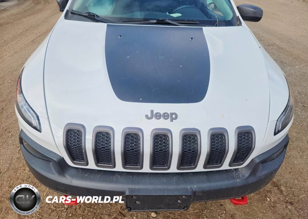2016 Jeep Cherokee Trailhawk VIN:1C4PJMBS7GW253020 - 12
