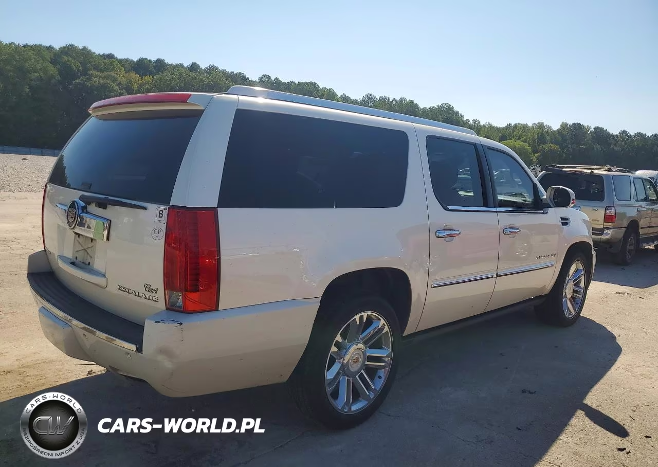 2014 Cadillac Escalade Esv Platinum VIN:1GYS4KEF0ER133554 - 3