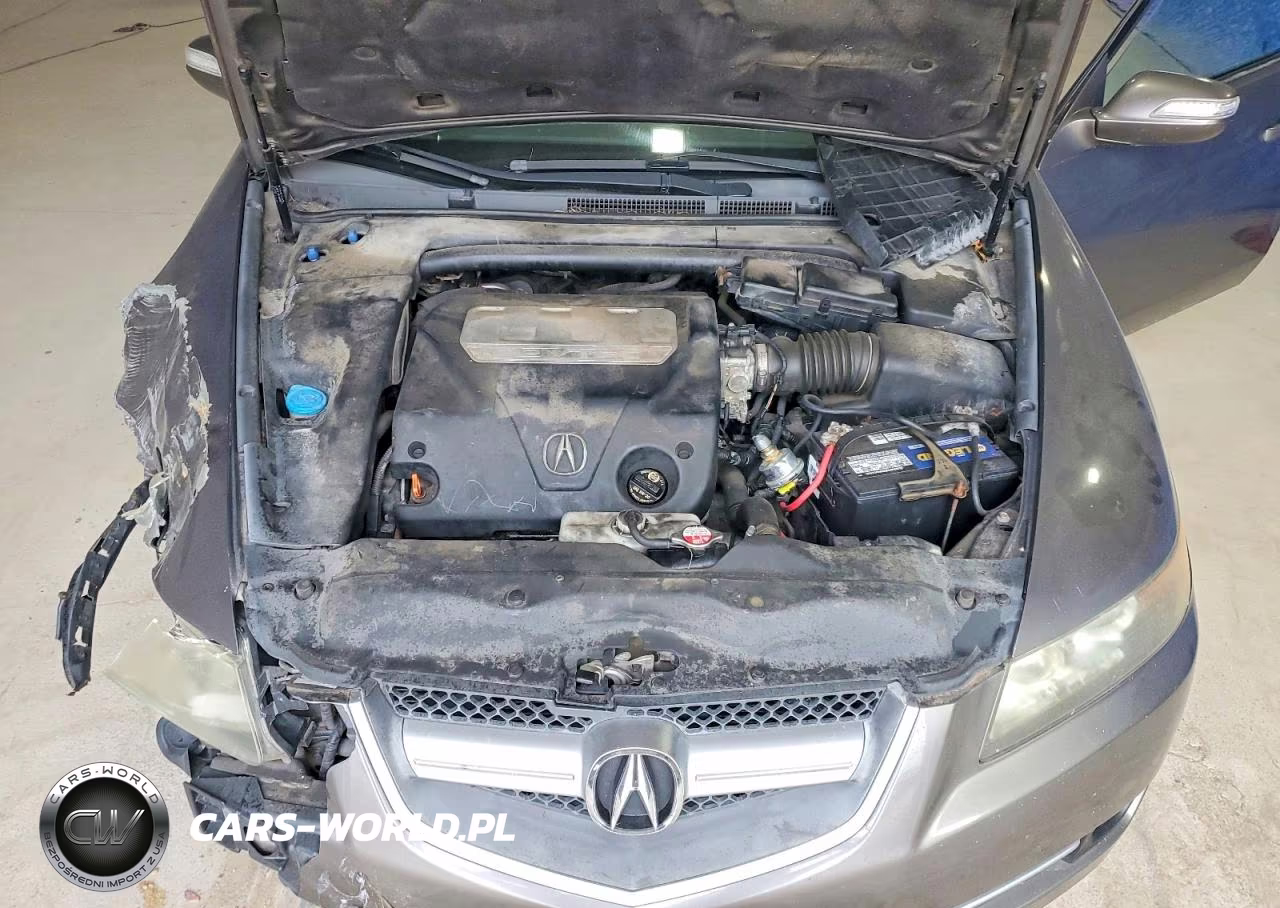 2007 Acura Tl VIN:19UUA66257A016436 - 11