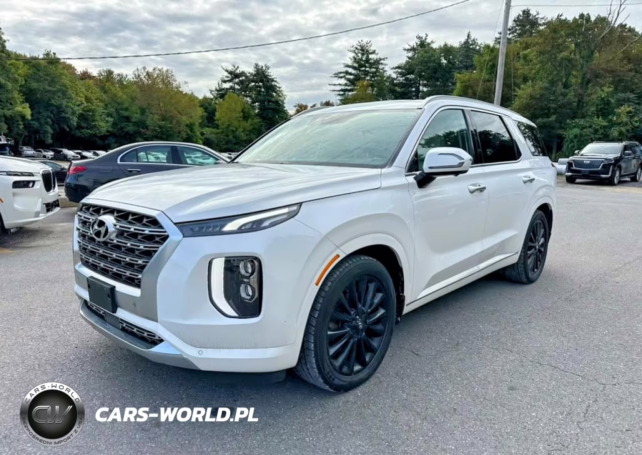2020 Hyundai Palisade Limited – zdjęcie 1 z 10