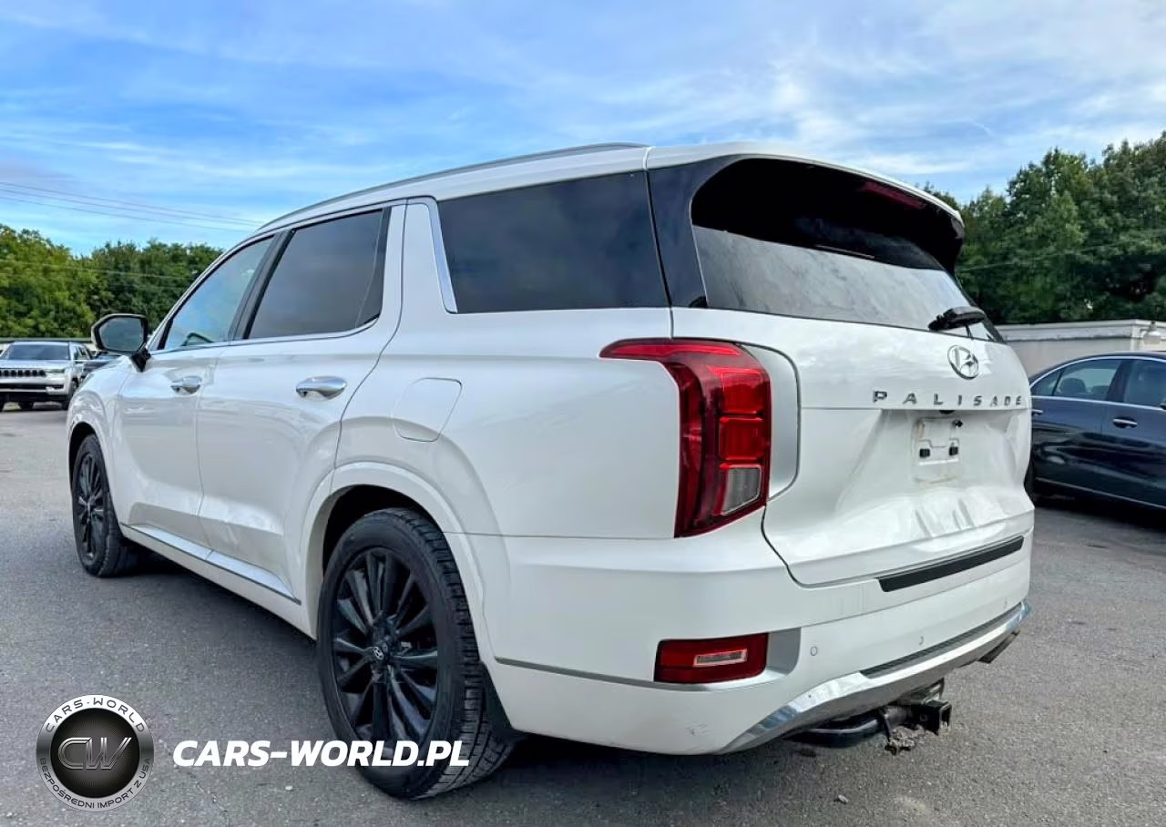 2020 Hyundai Palisade Limited VIN:KM8R5DHE1LU107910 - 2