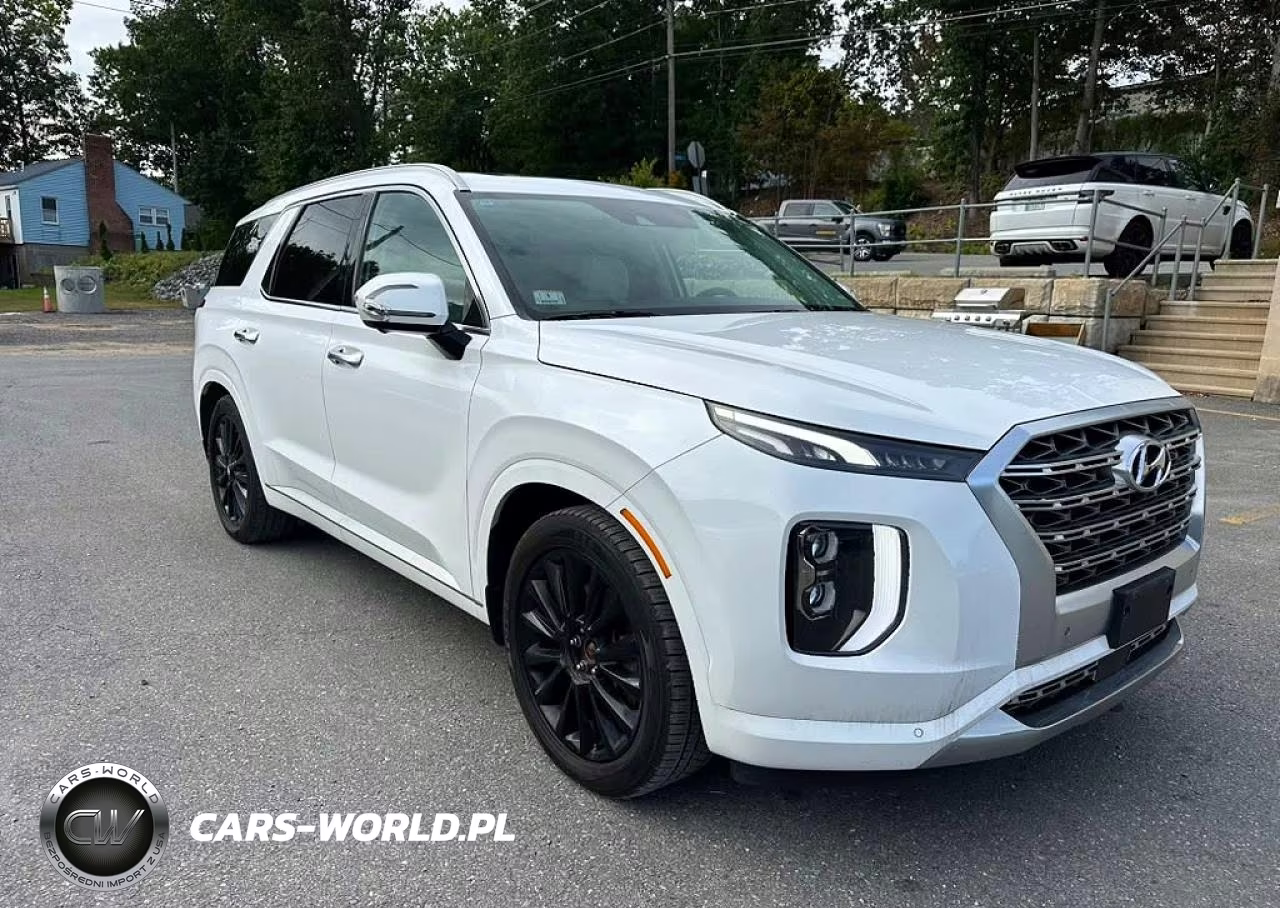 2020 Hyundai Palisade Limited VIN:KM8R5DHE1LU107910 - 4