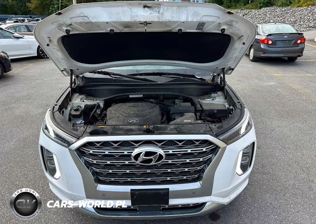 2020 Hyundai Palisade Limited VIN:KM8R5DHE1LU107910 - 5