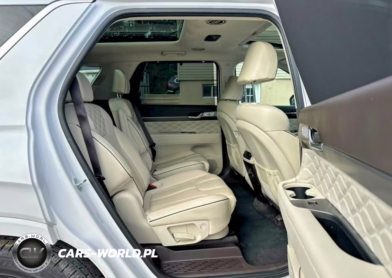 2020 Hyundai Palisade Limited VIN:KM8R5DHE1LU107910 - 8