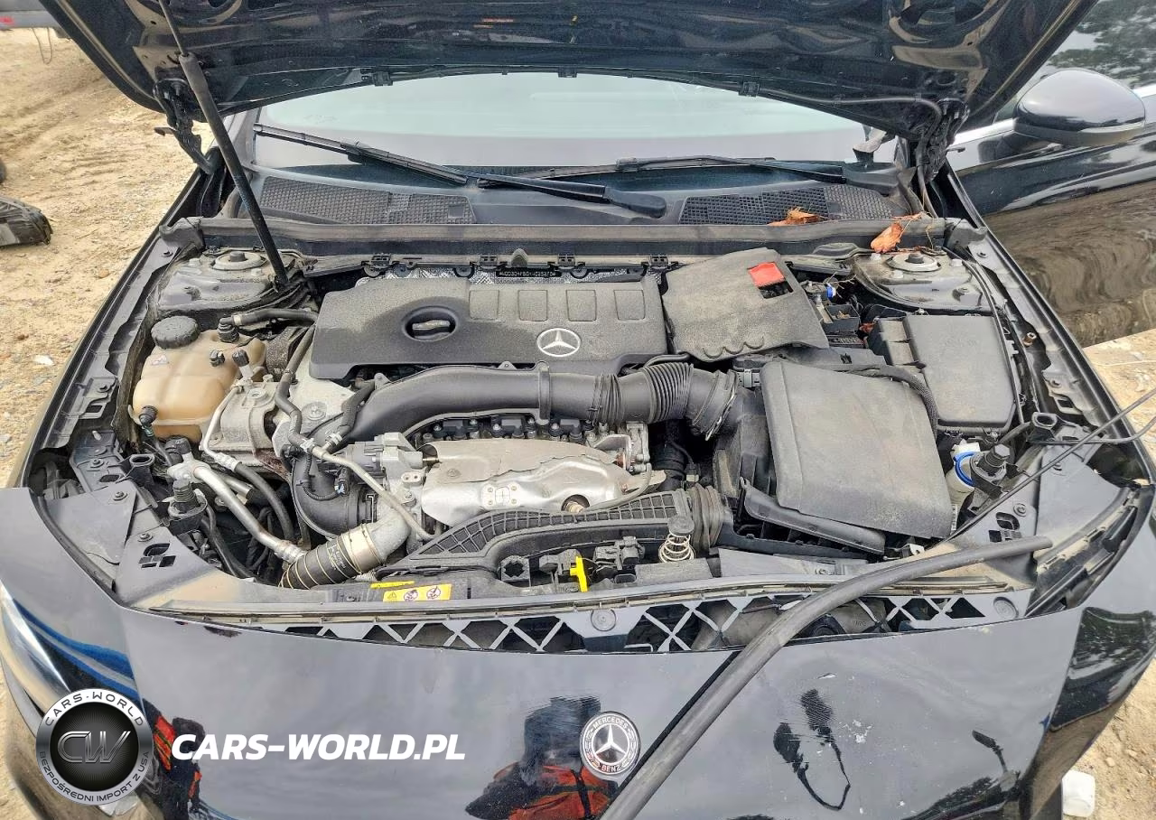 2019 Mercedes-Benz A 220 4Matic VIN:WDD3G4FB0KW025270 - 11