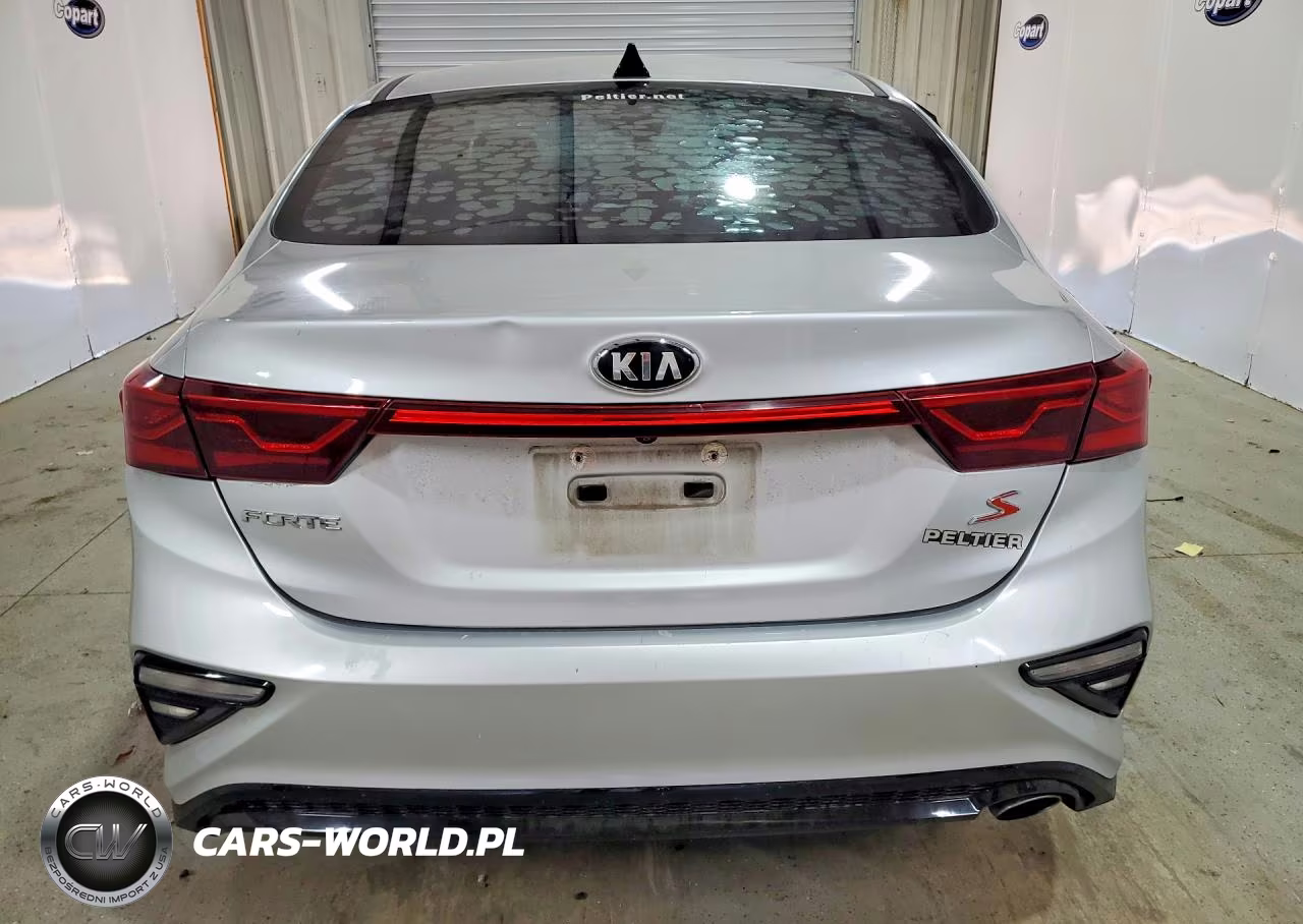 2019 Kia Forte S VIN:3KPF34AD0KE017840 - 6
