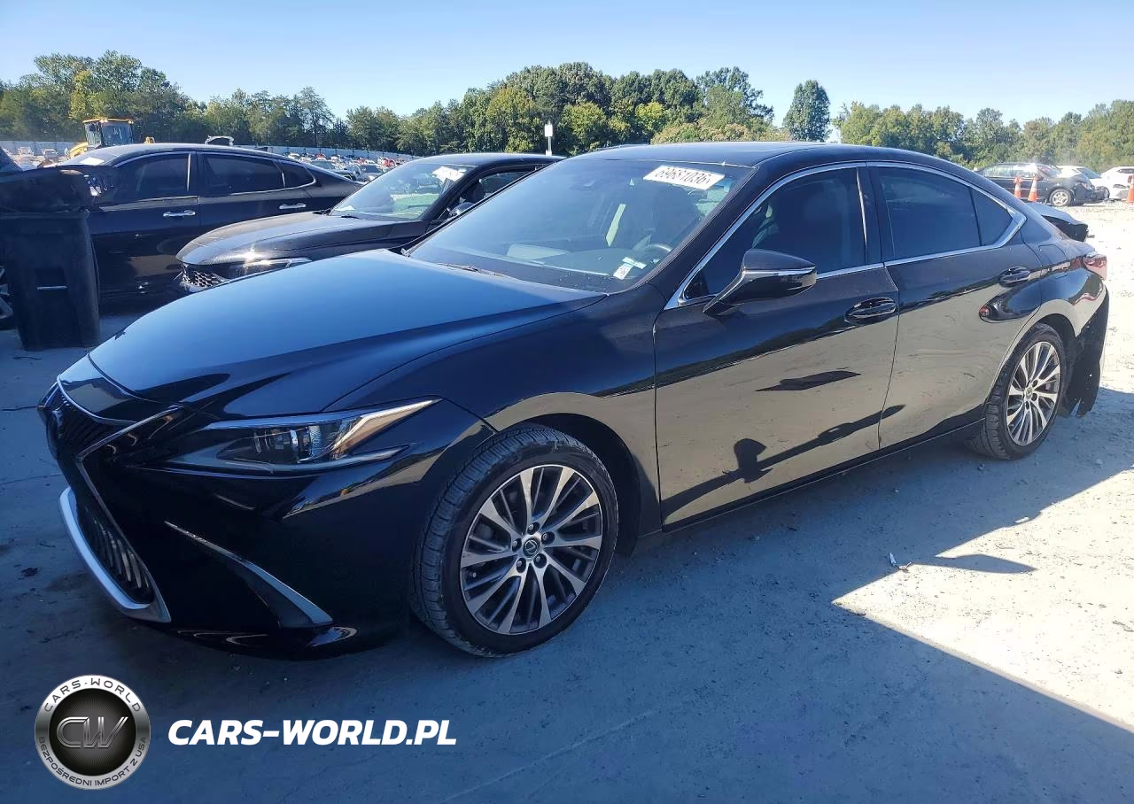 2020 Lexus Es 350 VIN:58ADZ1B11LU071891 - 1