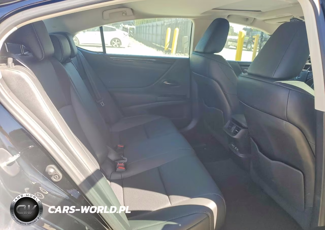 2020 Lexus Es 350 VIN:58ADZ1B11LU071891 - 10