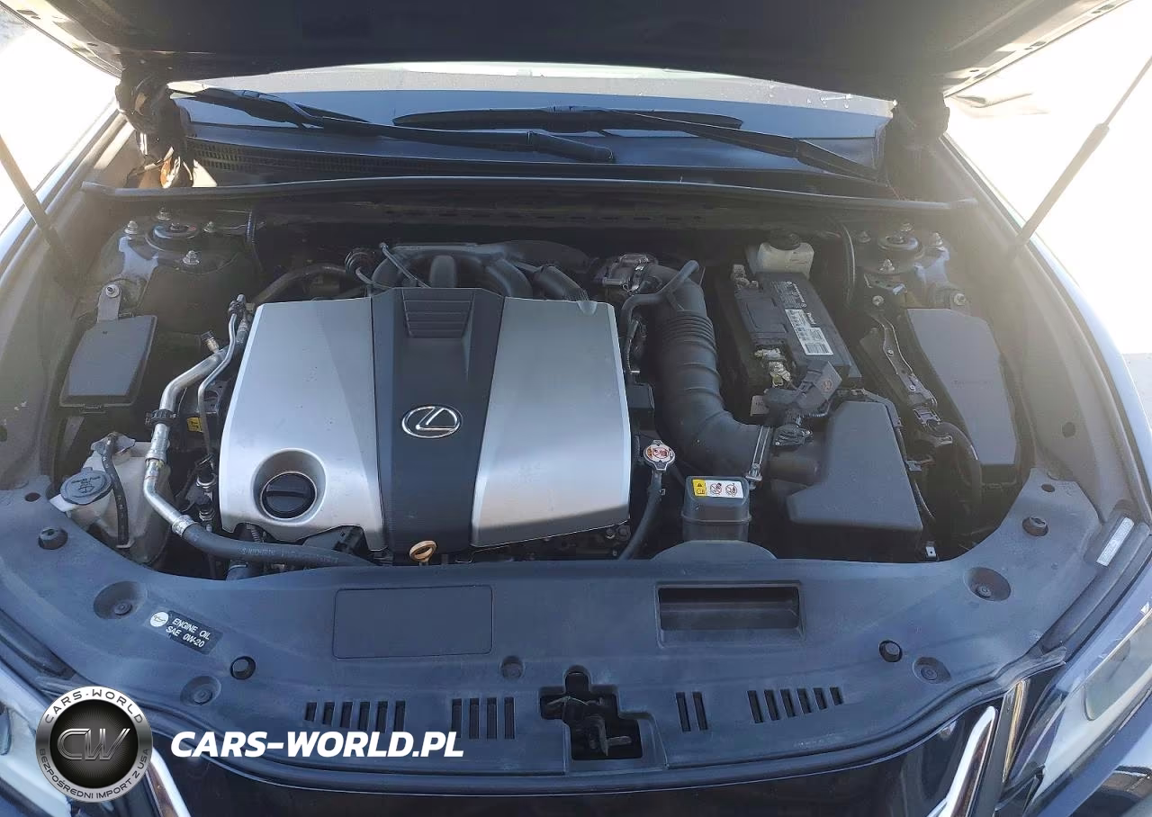 2020 Lexus Es 350 VIN:58ADZ1B11LU071891 - 11