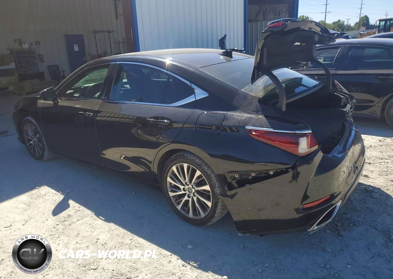 2020 Lexus Es 350 VIN:58ADZ1B11LU071891 - 2